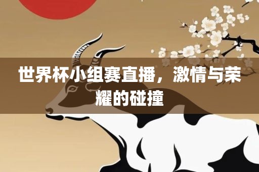 世界杯小组赛直播，激情与荣耀的碰撞