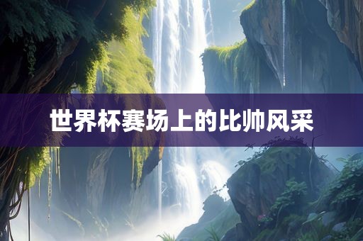 世界杯赛场上的比帅风采