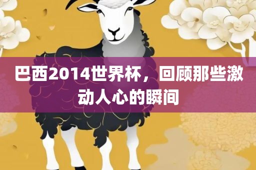 巴西2014世界杯，回顾那些激动人心的瞬间金炬实业股份有限公司