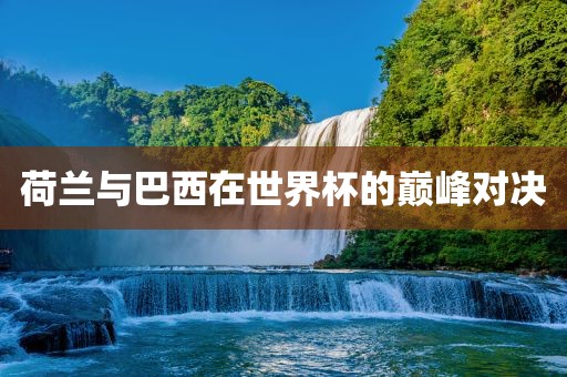 荷兰与巴西在世界杯的巅峰对决金炬实业股份有限公司