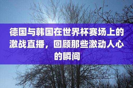 德国与韩国在世界杯赛场上的激战直播，回顾那些激动人心的瞬间