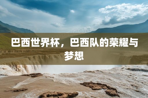 巴西世界杯，巴西队的荣耀与梦想金炬实业股份有限公司