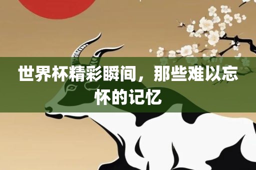 世界杯精彩瞬间，那些难以忘怀的记忆