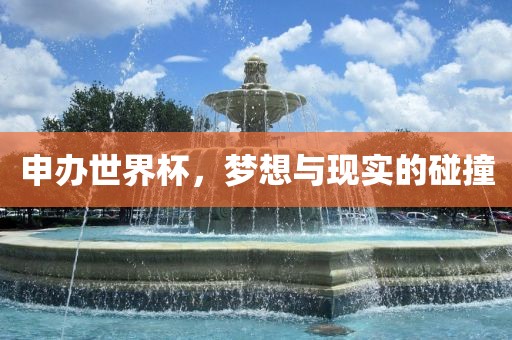 申办世界杯，梦想与现实的碰撞