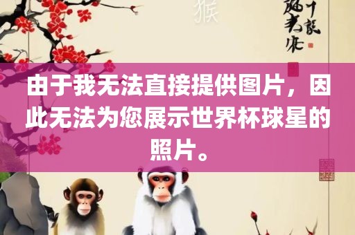 由于我无法直接提供图片，因此无法为您展示世界杯球星的照片。