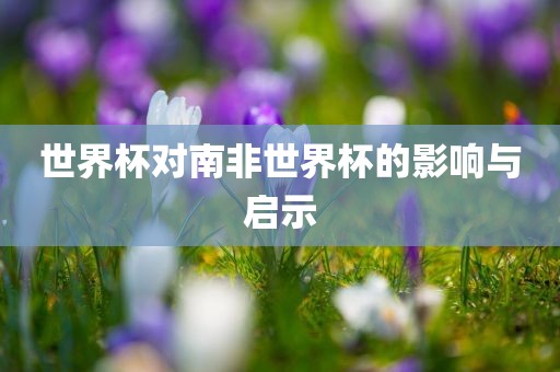 世界杯对南非世界杯的影响与启示金炬实业股份有限公司