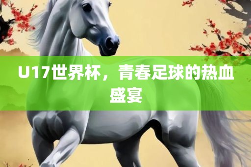 U17世界杯，青春足球的热血盛宴