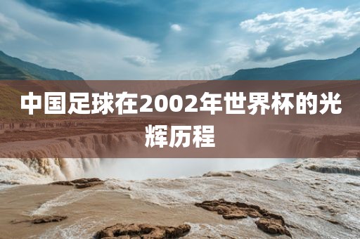 中国足球在2002年世界杯的光辉历程金炬实业股份有限公司