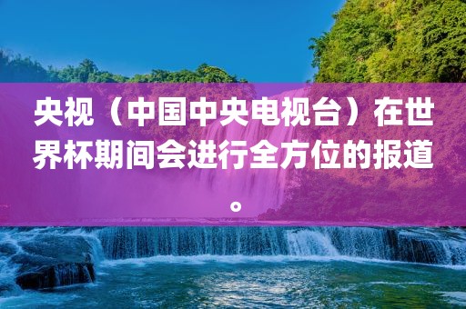 央视（中国中央电视台）在世界杯期间会进行全方位的报道。