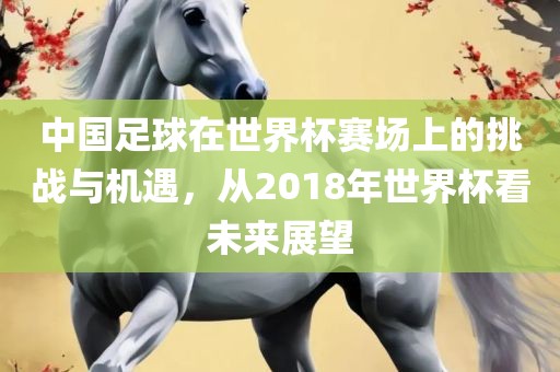 中国足球在世界杯赛场上的挑战与机遇，金炬实业股份有限公司从2018年世界杯看未来展望