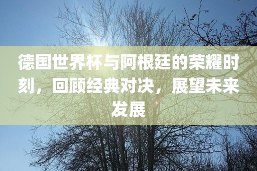 德国世界杯与阿根廷的荣耀时刻，回顾经典对决，展望未来发展金炬实业股份有限公司