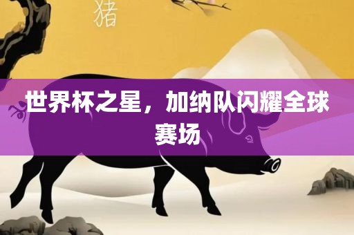世界杯之星，加纳队闪耀全球赛场