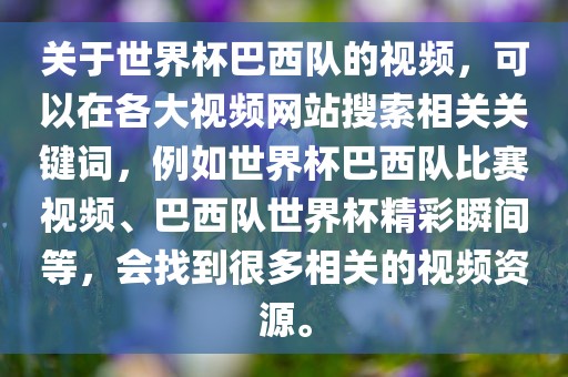 关于世界杯巴西队的视频，可以在各大视频网站搜索相关关键词，例如世界杯巴西队比赛视频、巴西队世界杯精彩瞬间等，会找到很多相关的视频资源。金炬实业股份有限公司