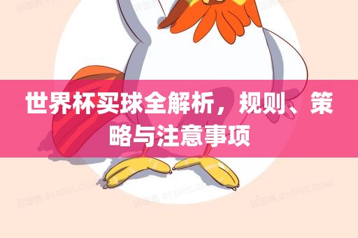 世界杯买球全解析，规则、策略与注意事项