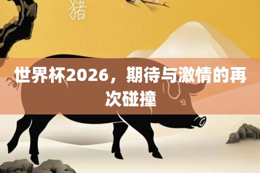 世界杯2026，期待与激情的再次碰撞金炬实业股份有限公司