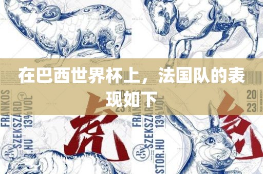 在巴西世界杯上，法国队的表现如下