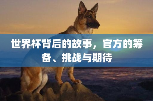世界杯背后的故事，官方的筹备、挑战与期待金炬实业股份有限公司