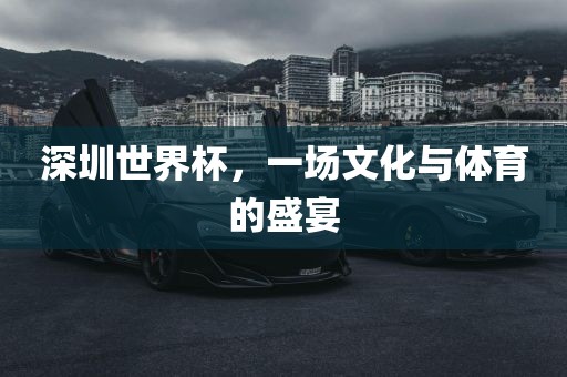 深圳世界杯，一场文化与体育的盛宴