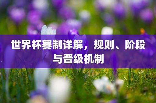 世界杯赛制详解，规则、阶段与晋级机制金炬实业股份有限公司