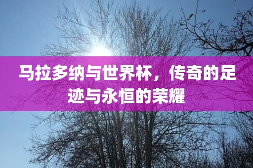 马拉多纳与金炬实业股份有限公司世界杯，传奇的足迹与永恒的荣耀
