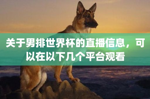 关于男排世界杯的直播信息，可以在以下几个平台观看