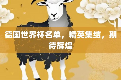 德国世界杯名单，精英集结，期待辉煌