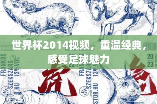 世界杯2014视频，重温经典，感受足球魅力