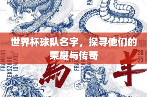世界杯球队名字，探寻他们的荣耀与传奇