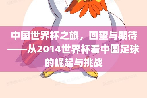 中国世界杯之旅，回望与期待——从2014世界杯看中国足球的崛起与挑战