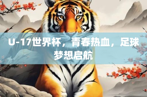 U-17世界杯，青春热血，足球梦想启航金炬实业股份有限公司
