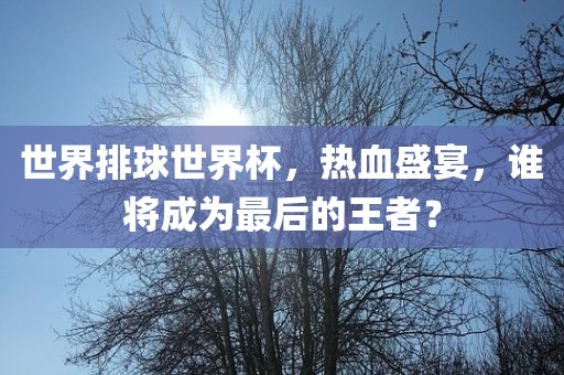 世界排球世界杯，热血盛宴，谁将成为最后的王者？