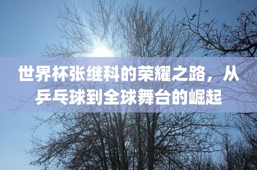 世界杯张继科的荣耀之路，从乒乓球到全球舞台的崛起