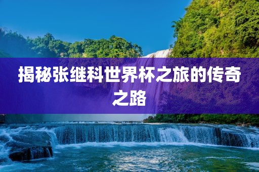 揭秘张继科世界杯之旅的传奇之路