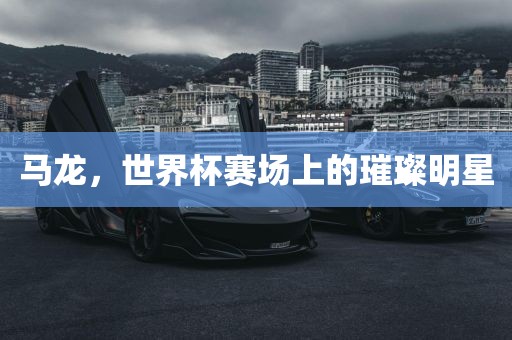马龙，世界杯赛场上的璀璨明星金炬实业股份有限公司