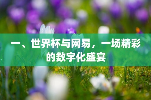 一、世界杯与网易，一场精彩的金炬实业股份有限公司数字化盛宴