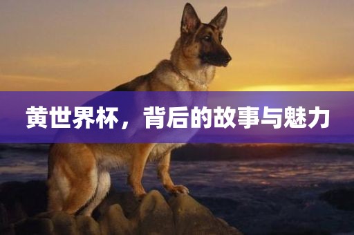 黄世界杯，背后的故事与魅力金炬实业股份有限公司