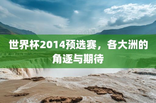 世界杯2014预选赛，各大洲的角逐与期待