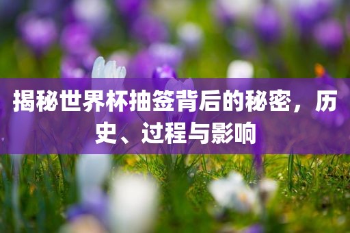 揭秘世界杯抽签背后金炬实业股份有限公司的秘密，历史、过程与影响