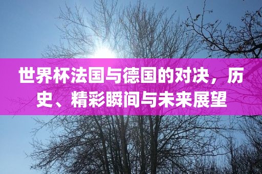 世界杯法国与德国的对决，历史、精彩瞬间与未来展望