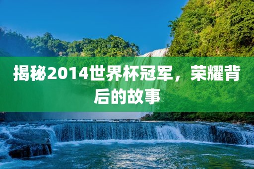 揭秘2014世界杯冠军，荣耀背后的故事