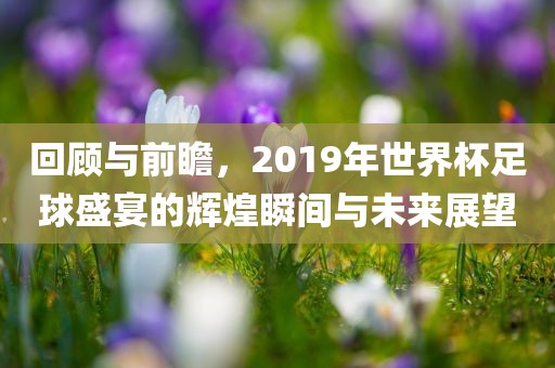 回顾与前瞻，2019年世界杯足球盛宴的辉煌瞬间与未来展望