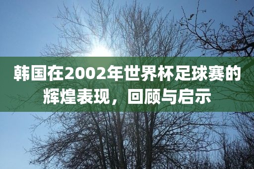 韩国在2002年世界杯足球赛的辉煌表现，回顾与启示金炬实业股份有限公司