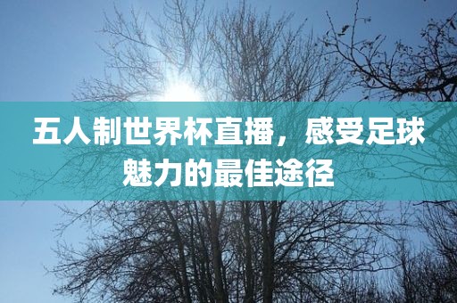 五人制世界杯直播，感受足球魅力的最佳途径