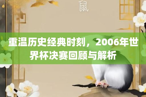 重温历史经典时刻，2006年世界杯决赛回顾与解析金炬实业股份有限公司