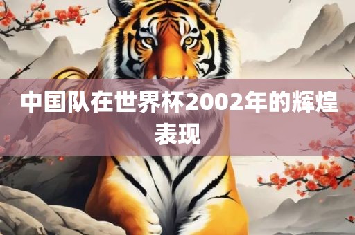 中国队在世界杯2002年的辉煌表现