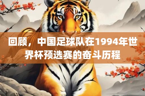 回顾，中国足球队在1994年世界杯预选赛的奋斗历程