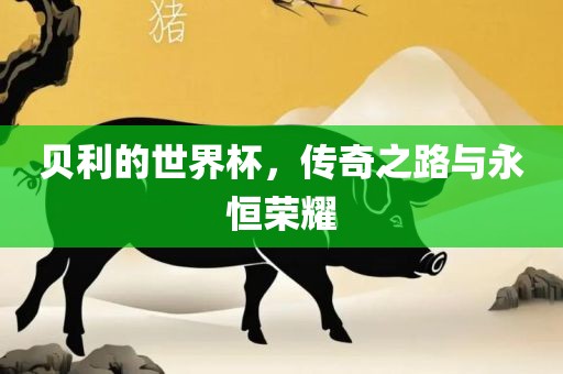 贝利的世界杯，传奇之路与永恒荣耀