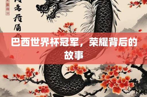 巴西世界杯冠军，荣耀背后的故事