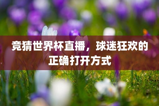 竞猜世界杯直播，球迷狂欢的正确打开方式