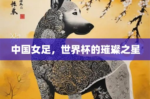 中国女足，世界杯的璀璨之星